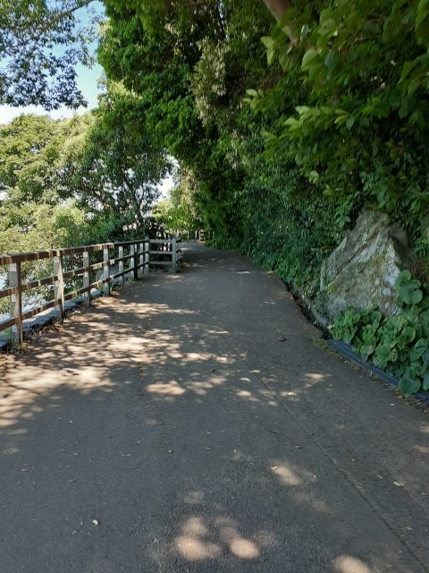 徳島中央公園15