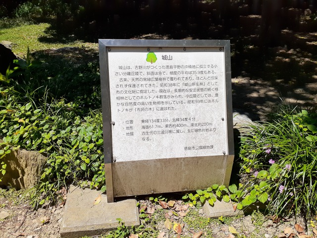 徳島中央公園17