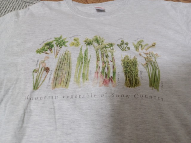 山菜Tシャツ2
