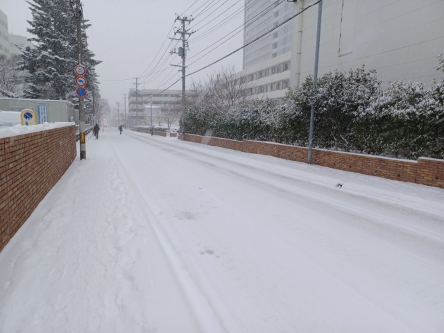 仙台雪