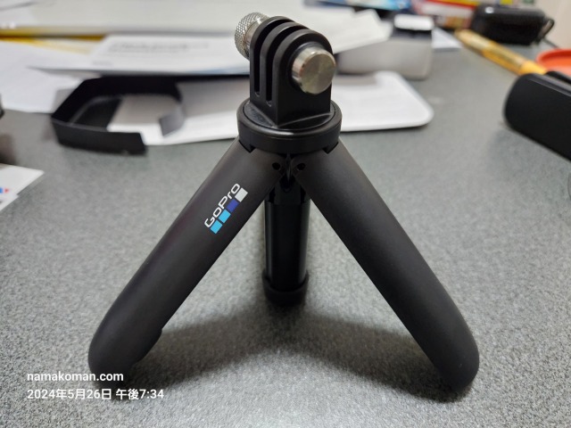 GoProShorty2