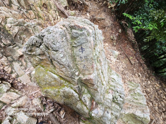 馬の背登山道中間地点