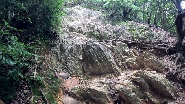 馬の背登山道道中2