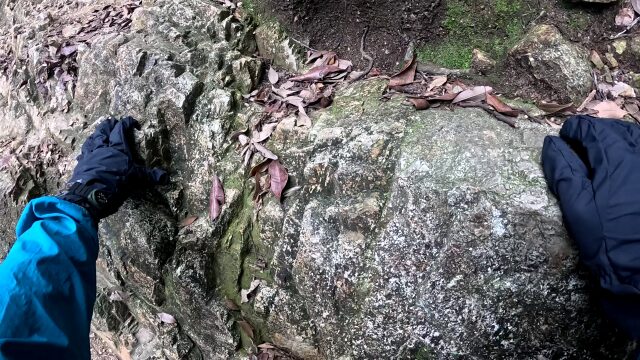 馬の背登山道道中3