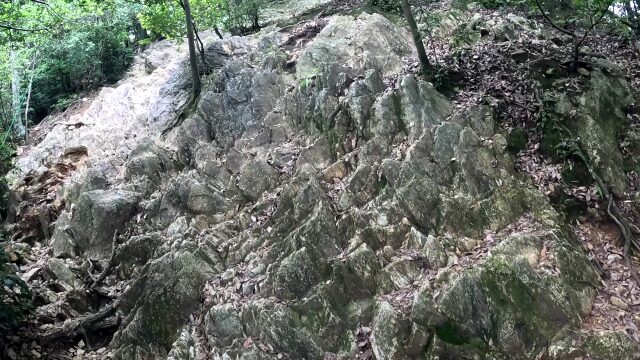 馬の背登山道道中5