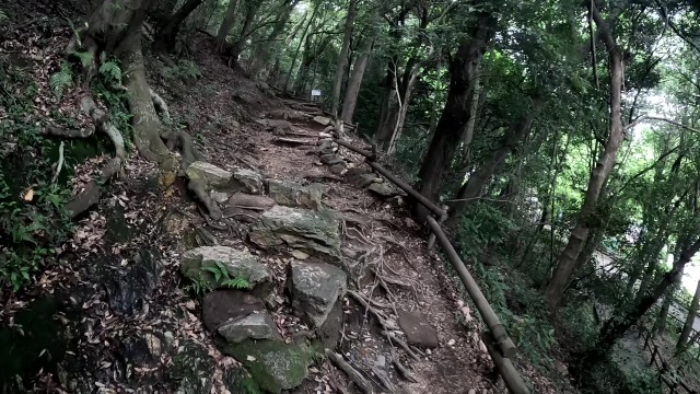 馬の背登山道道中15