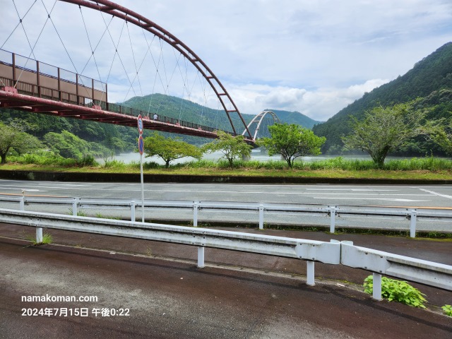 天竜相津花桃の里夢のかけ橋1