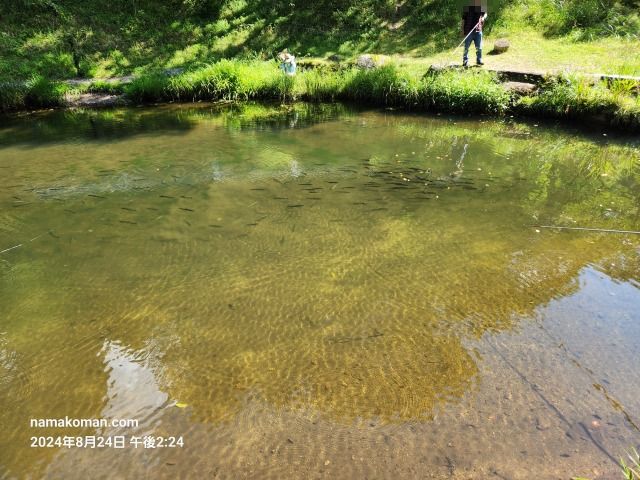 つぐ高原グリーンパーク釣り堀1