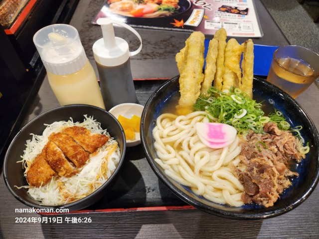 資さんうどん肉ごぼ天うどんミニたれカツ丼セット