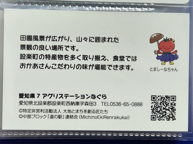 アグリステーションなぐら記念指定券裏