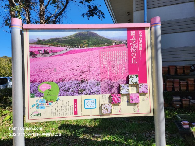 秋の茶臼山高原まつり芝桜の丘看板