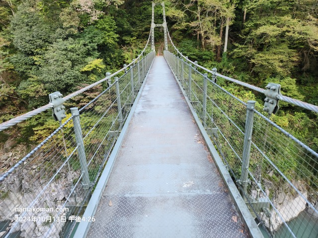 天龍峡つつじ橋