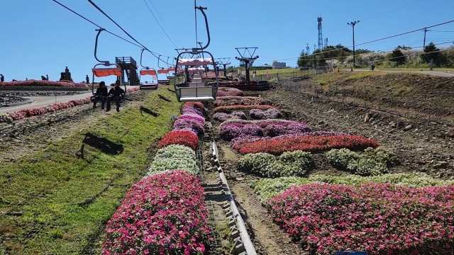 秋の茶臼山高原まつりサンパチェンス1