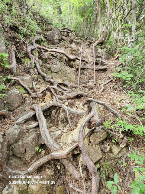 明神山はしご2