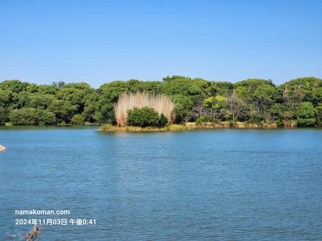 刈谷ハイウェイオアシス岩ヶ池2