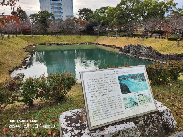 駿府城公園お濠