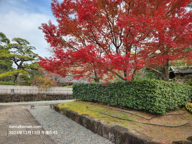 駿府城公園紅葉山公園紅葉