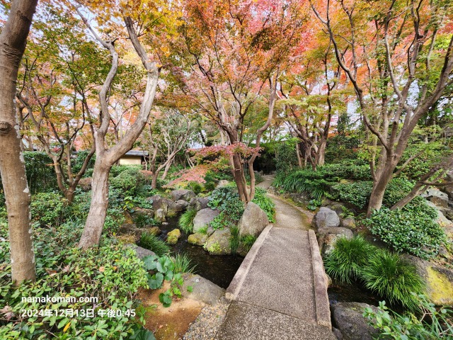 駿府城公園紅葉山庭園5