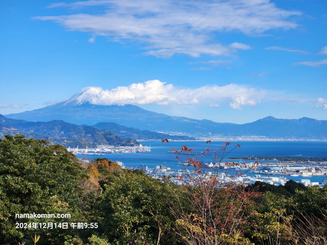 日本平から見える富士山