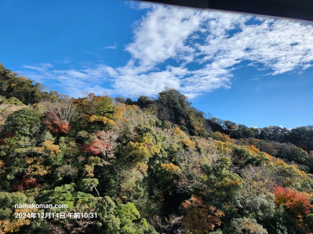 日本平ロープウェイからの風景