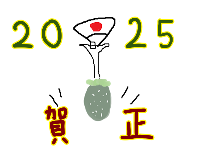 2025年正月