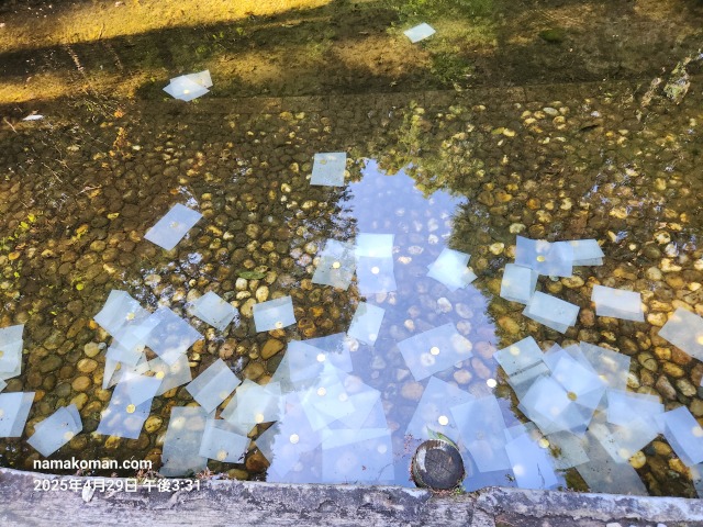 平成元号しあわせの架け橋2