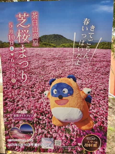 茶臼山芝桜まつりポスター