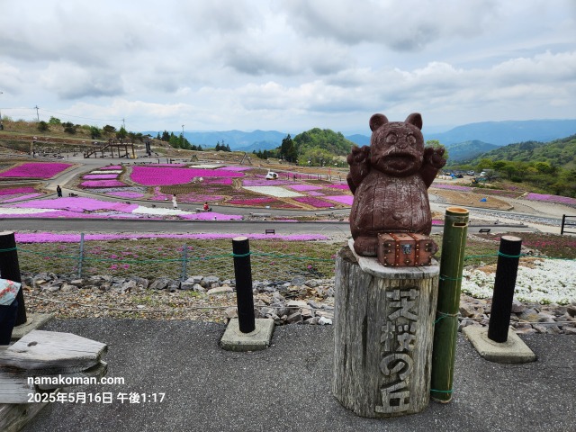 茶臼山芝桜まつり10