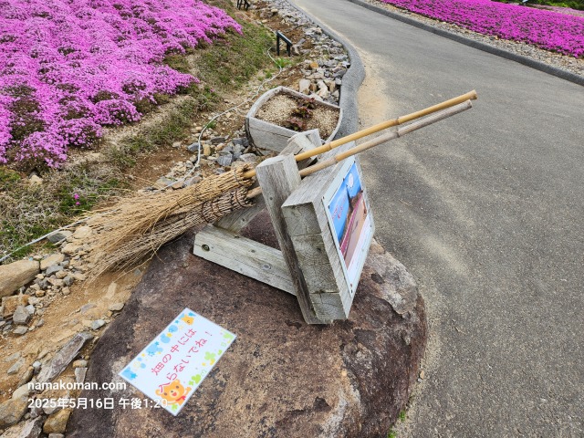 茶臼山芝桜まつり7