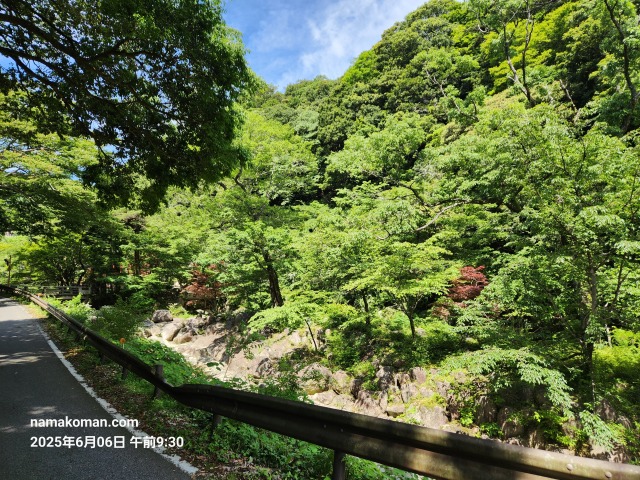 湯の山温泉の道