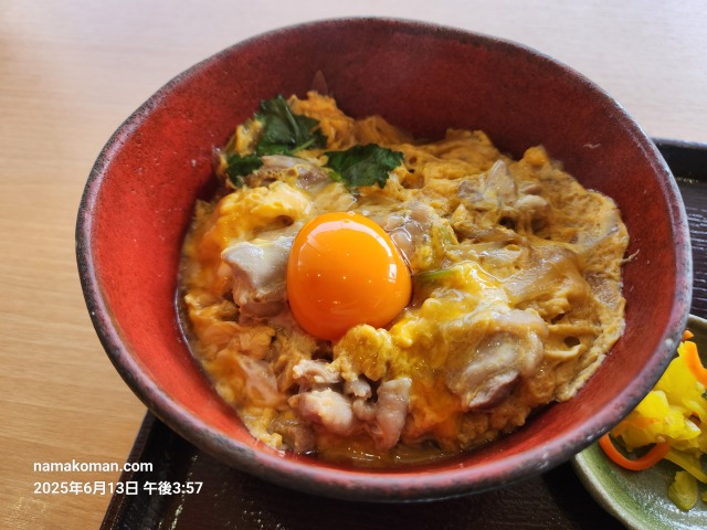 藤川宿よって味りん岡崎おうはん親子丼2