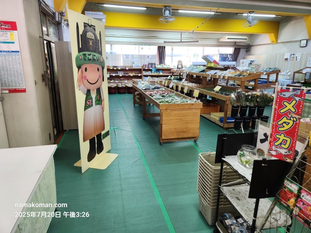 山北店内