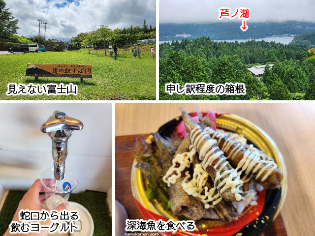 静岡神奈川サムネ