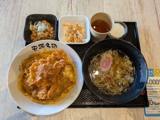 岡崎アウトレットDX北京飯セット1