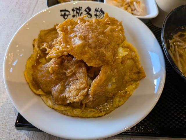 岡崎アウトレットDX北京飯セット4