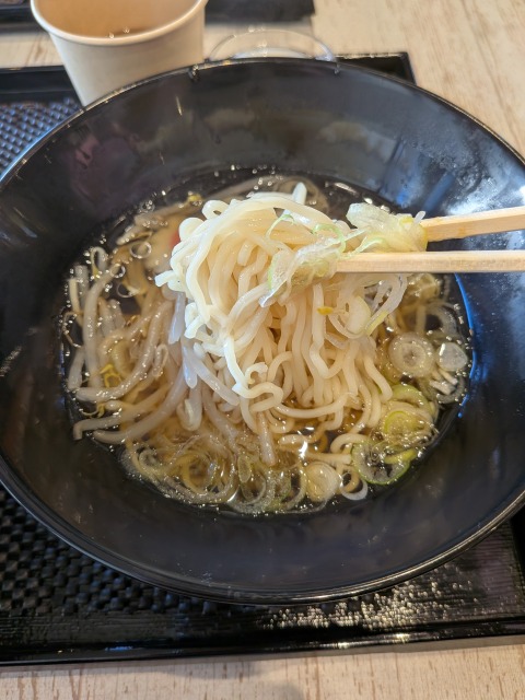 岡崎アウトレットDX北京飯セット5